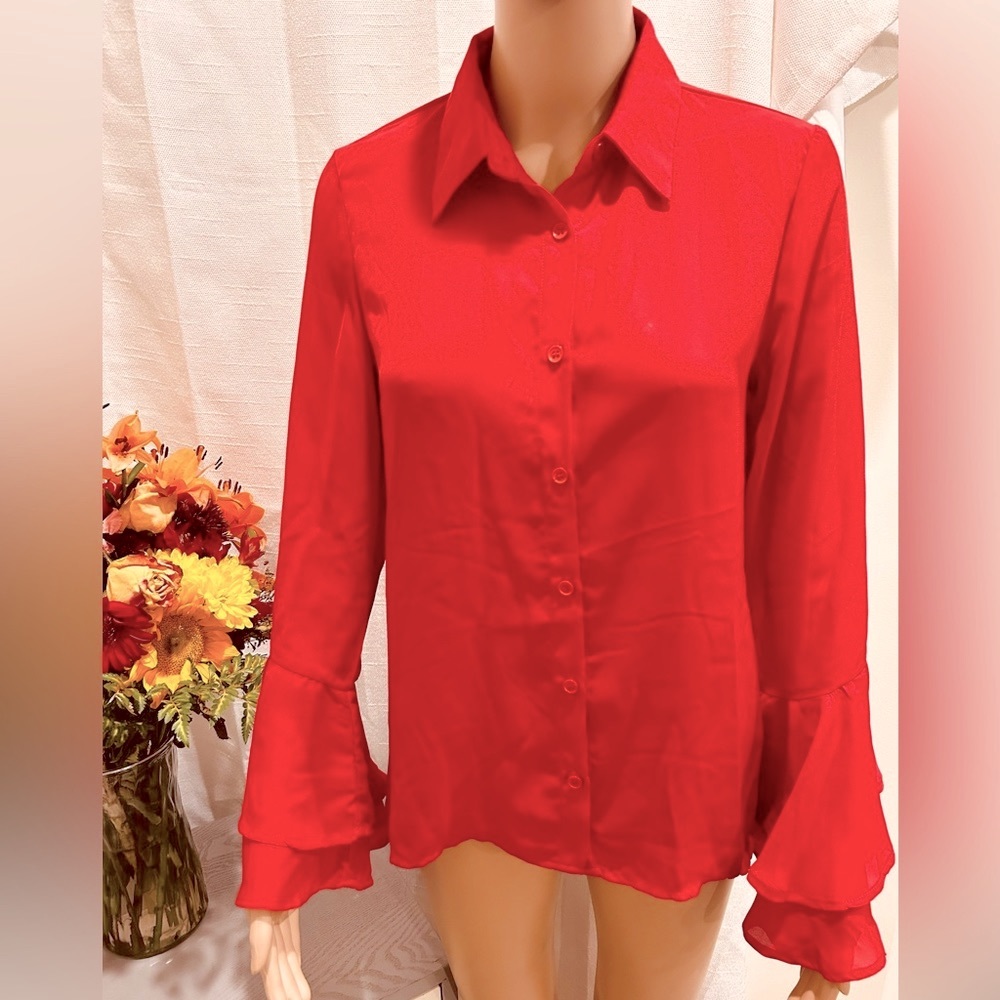 Sheer Bell Sleeve Button Down Blouse